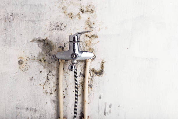 Best Mold Testing  in Conashaugh Lakes, PA