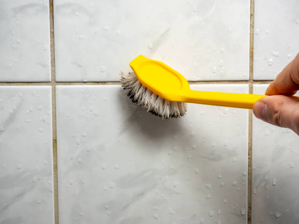Best Mold Damage Repair  in Conashaugh Lakes, PA