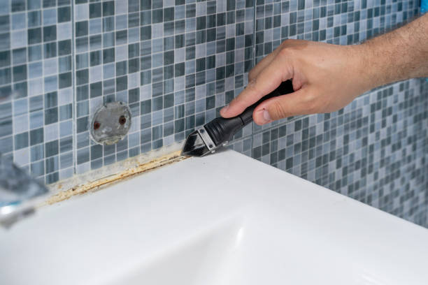 Conashaugh Lakes, PA Mold Removal Pros