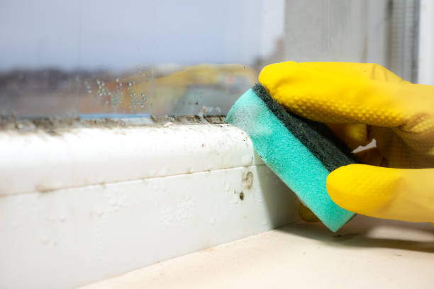 Conashaugh Lakes, PA Mold Removal Company
