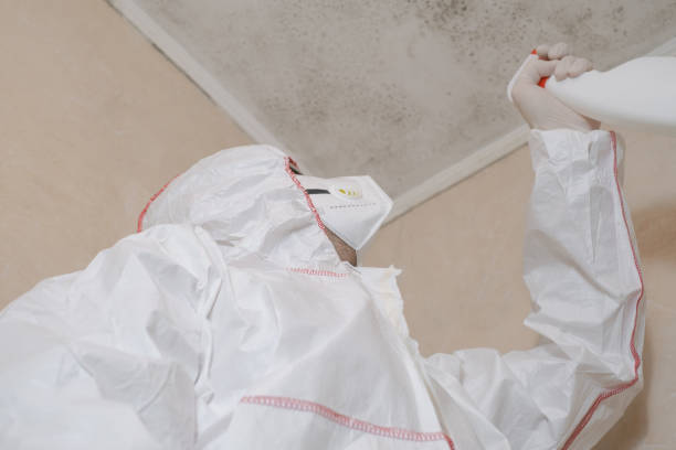 Best Attic Mold Removal  in Conashaugh Lakes, PA