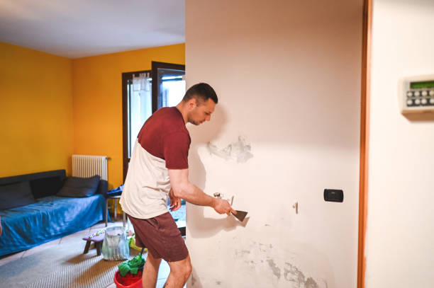 Best Fast Mold Removal  in Conashaugh Lakes, PA